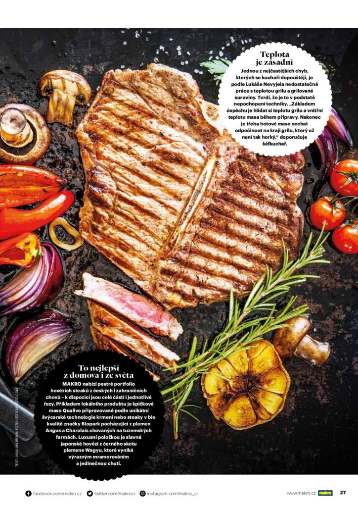 Gastro a lifestyle - grilování - odborné články pro lifestylové časopisy
