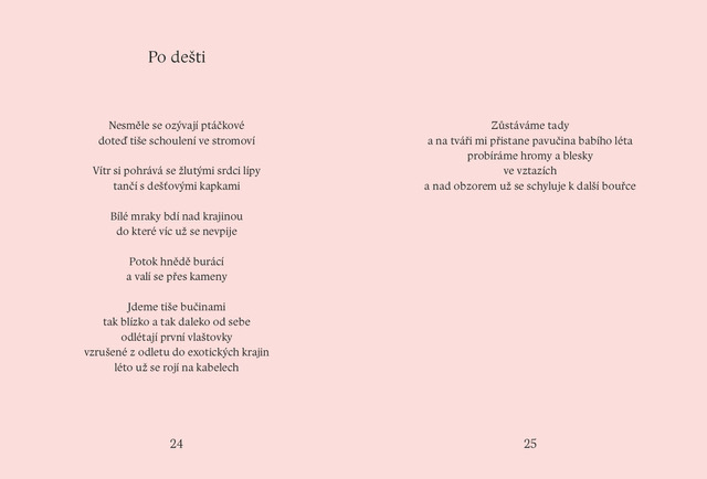 Dny po dešti - Obrázek 3